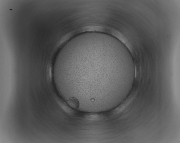 X0000111130253200907071023