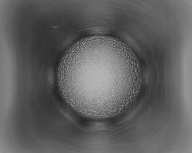 X0000111130255200907071023