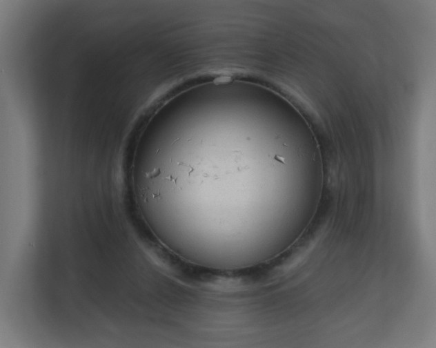 X0000111130256200907071023