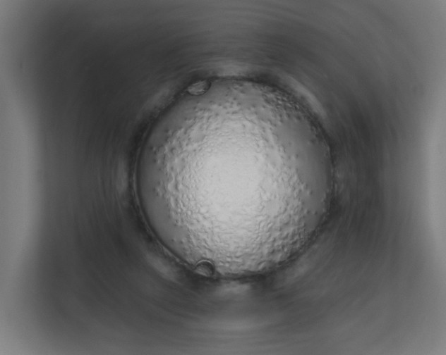 X0000111130257200907071023