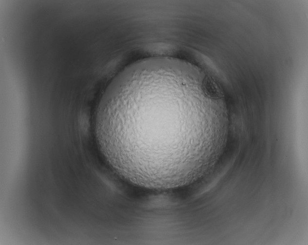 X0000111130259200907071023