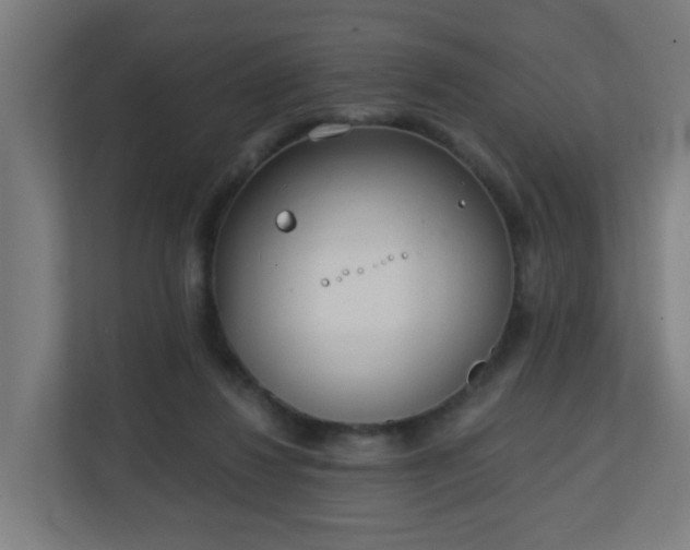 X0000111130260200907071023