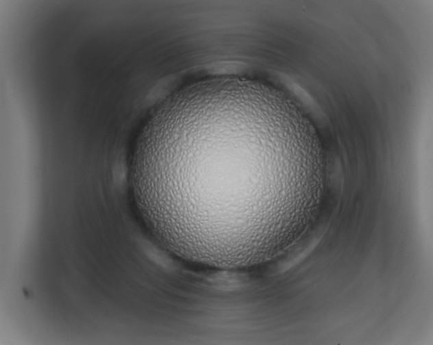 X0000111130261200907071023