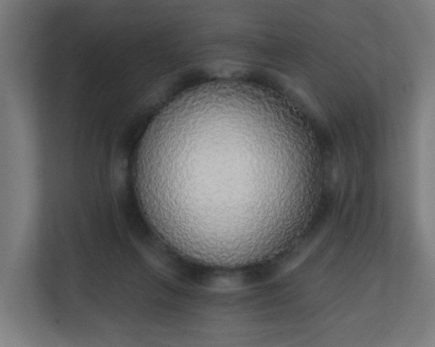 X0000111130263200907071023