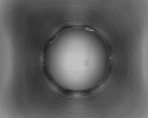 X0000111130264200907071023