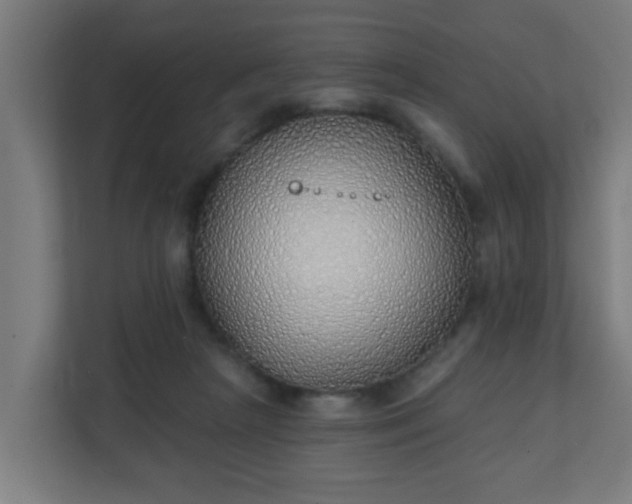 X0000111130265200907071023