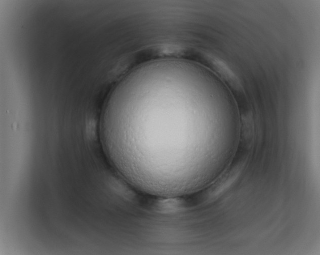X0000111130269200907071023