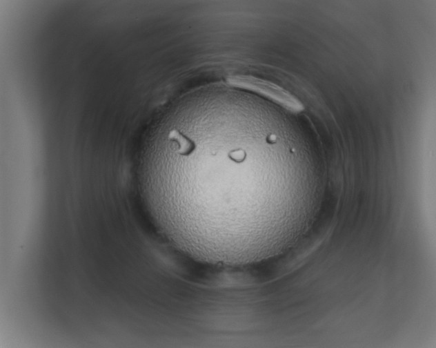 X0000111130270200907071023