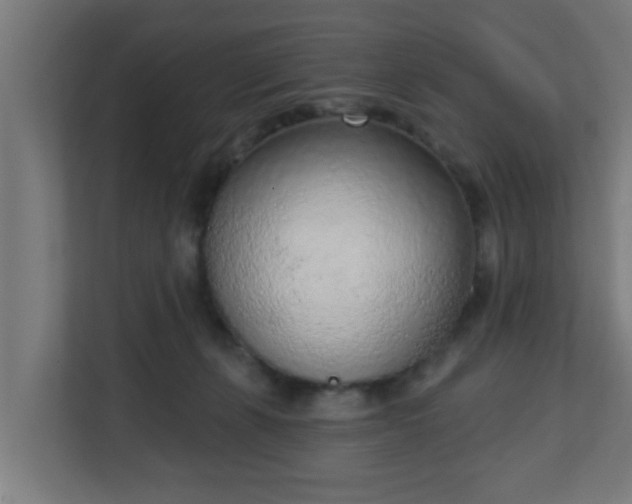 X0000111130271200907071023