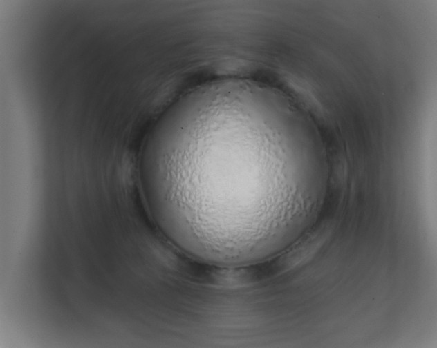 X0000111130273200907071023