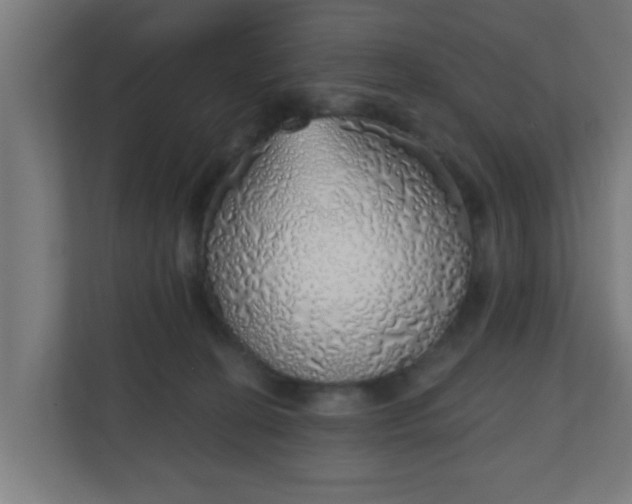 X0000111130274200907071024