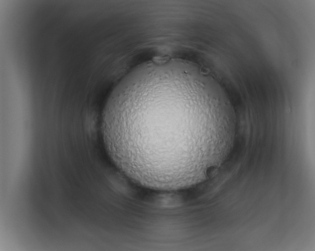 X0000111130275200907071024