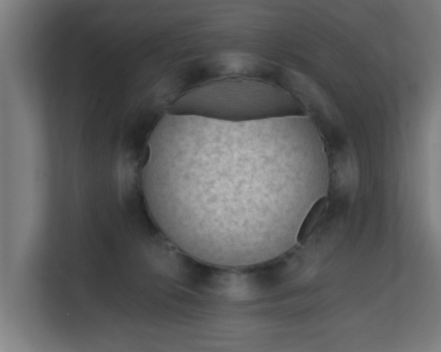 X0000111130276200907071024