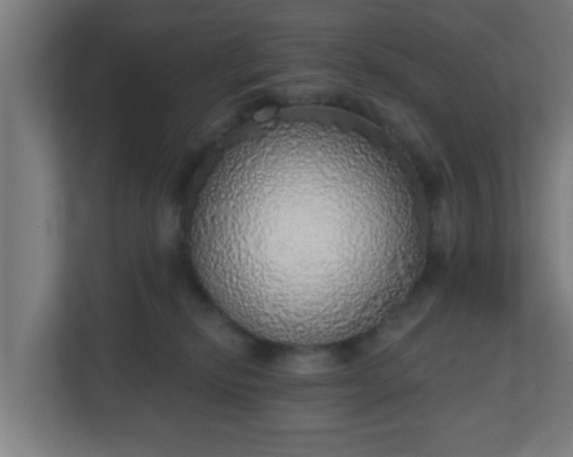 X0000111130278200907071024