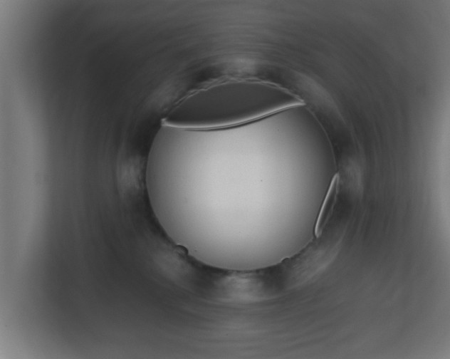X0000111130280200907071024