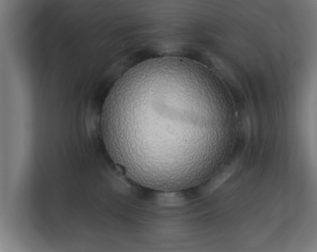 X0000111130281200907071024