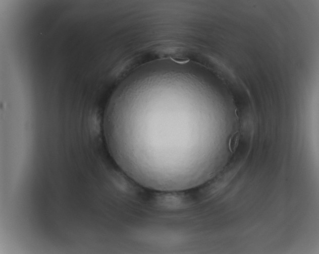X0000111130282200907071024
