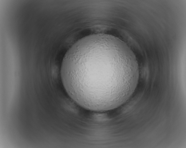X0000111130283200907071024