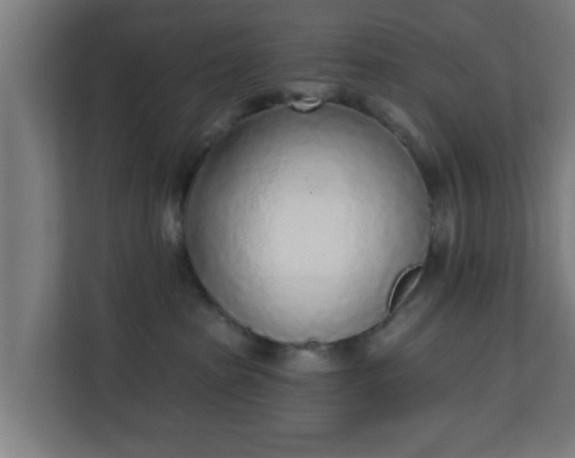 X0000111130285200907071024