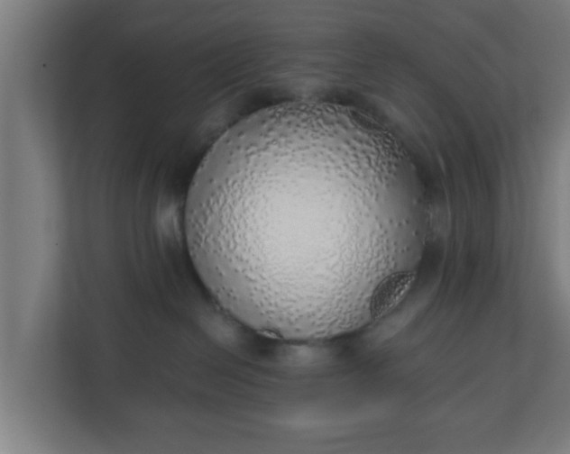 X0000111130286200907071024