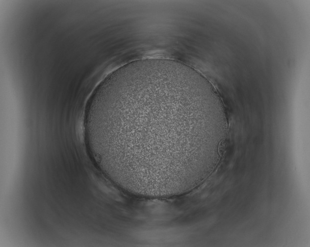 X0000111130290200907071023