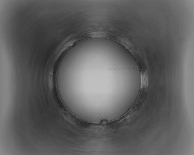 X0000111130291200907071023