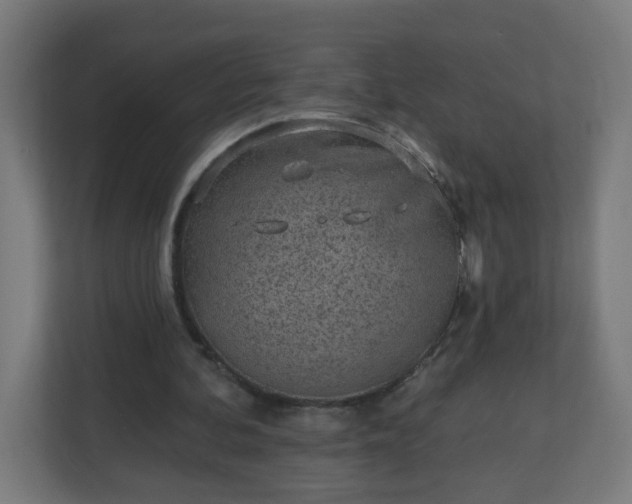 X0000111130292200907071023