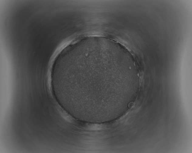 X0000111130293200907071023