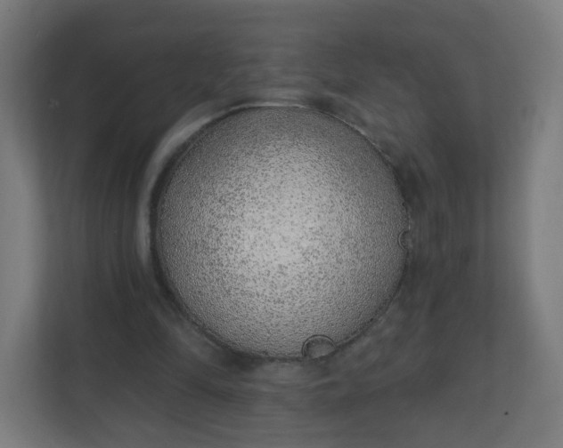 X0000111130294200907071023