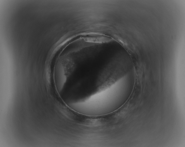 X0000111130295200907071023