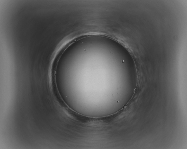 X0000111130296200907071023