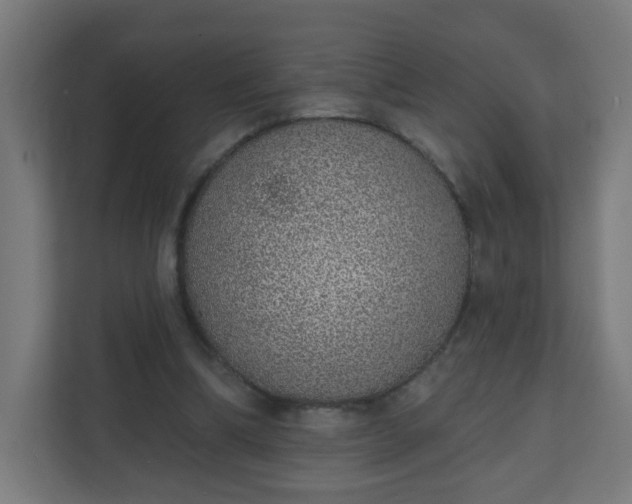 X0000111130298200907071023