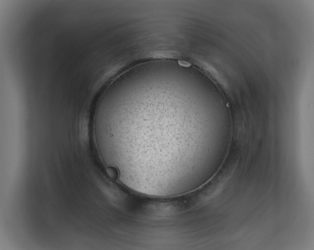 X0000111130299200907071023