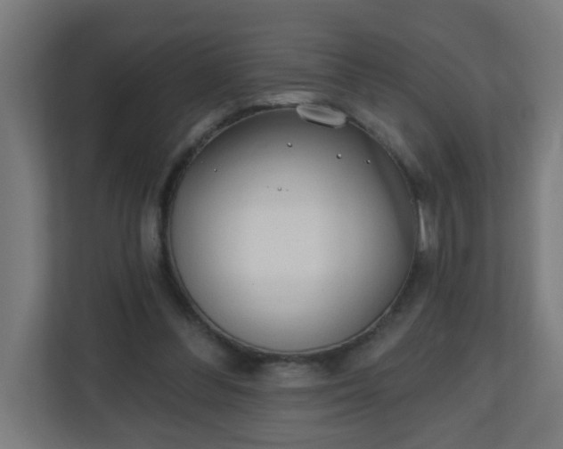 X0000111130300200907071023