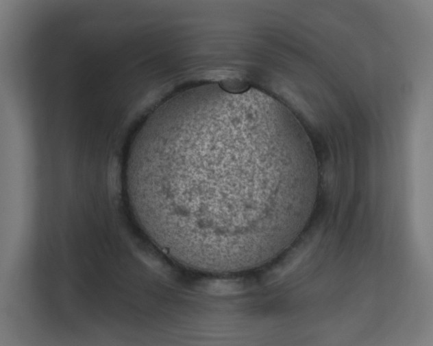 X0000111130303200907071023