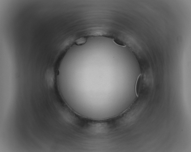 X0000111130304200907071023