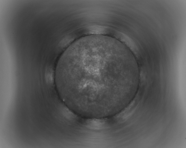 X0000111130305200907071023