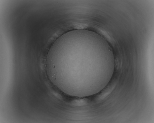 X0000111130307200907071023