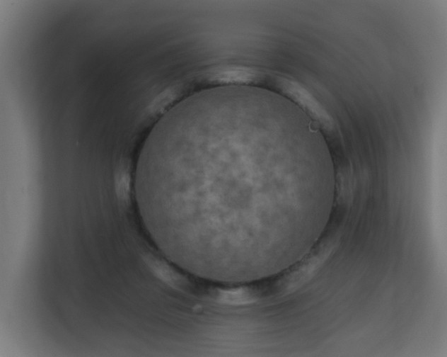X0000111130309200907071023