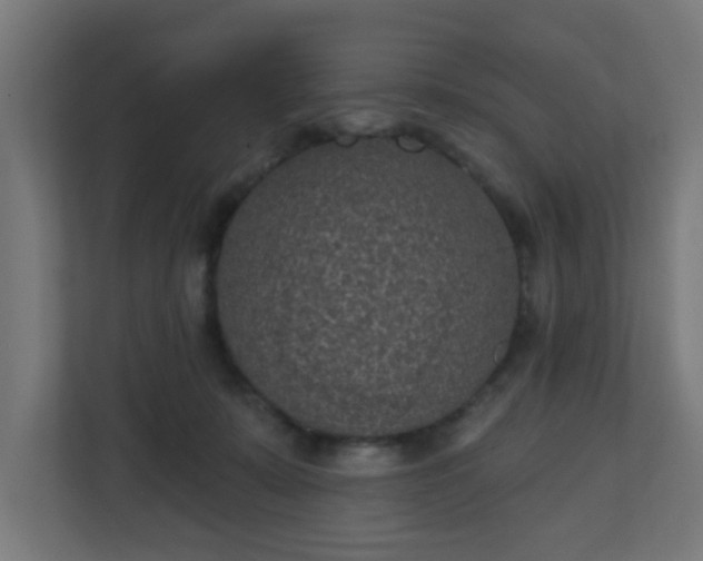 X0000111130319200907071023