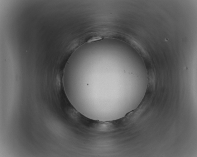 X0000111130333200907071022