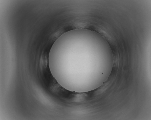 X0000111130334200907071022