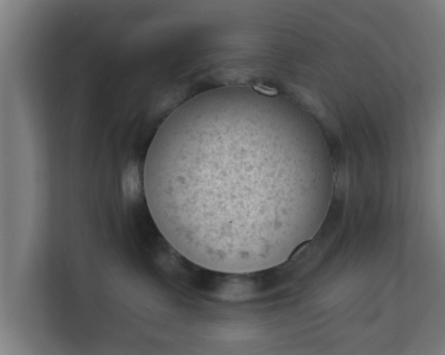 X0000111130335200907071022
