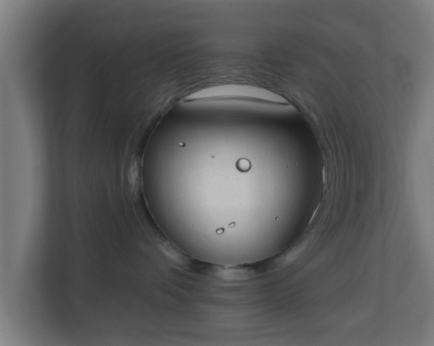 X0000111130336200907071022