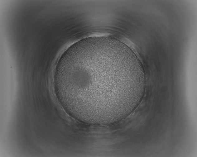 X0000111130337200907071022