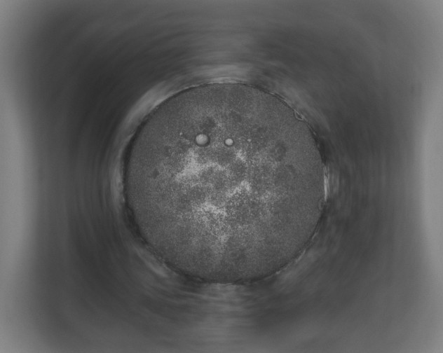 X0000111130339200907071022