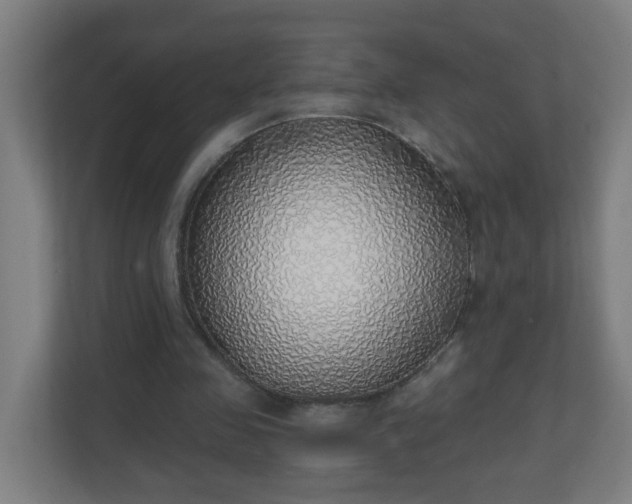 X0000111130341200907071022