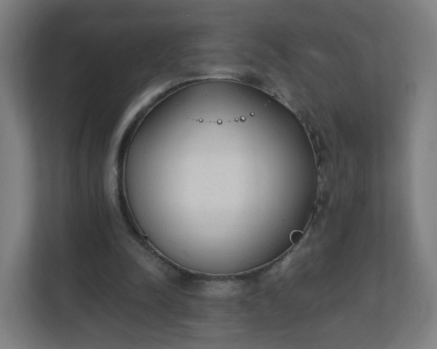 X0000111130342200907071022
