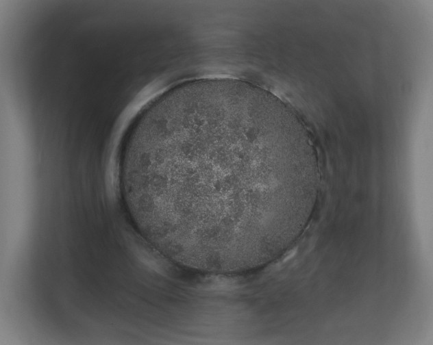 X0000111130343200907071022