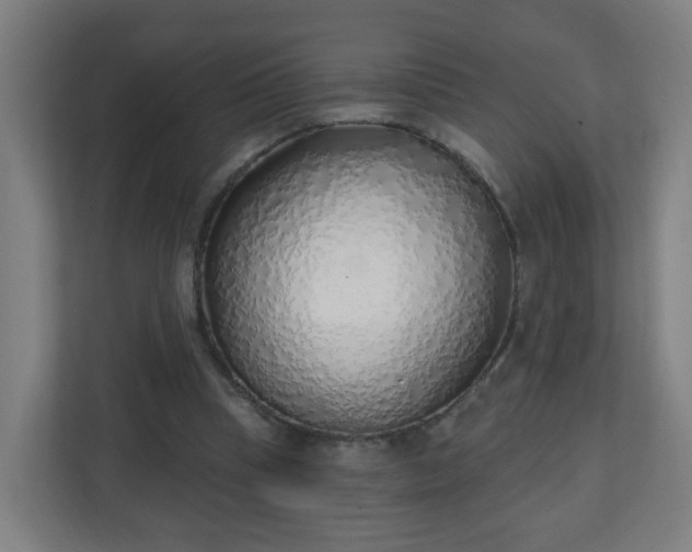 X0000111130345200907071022